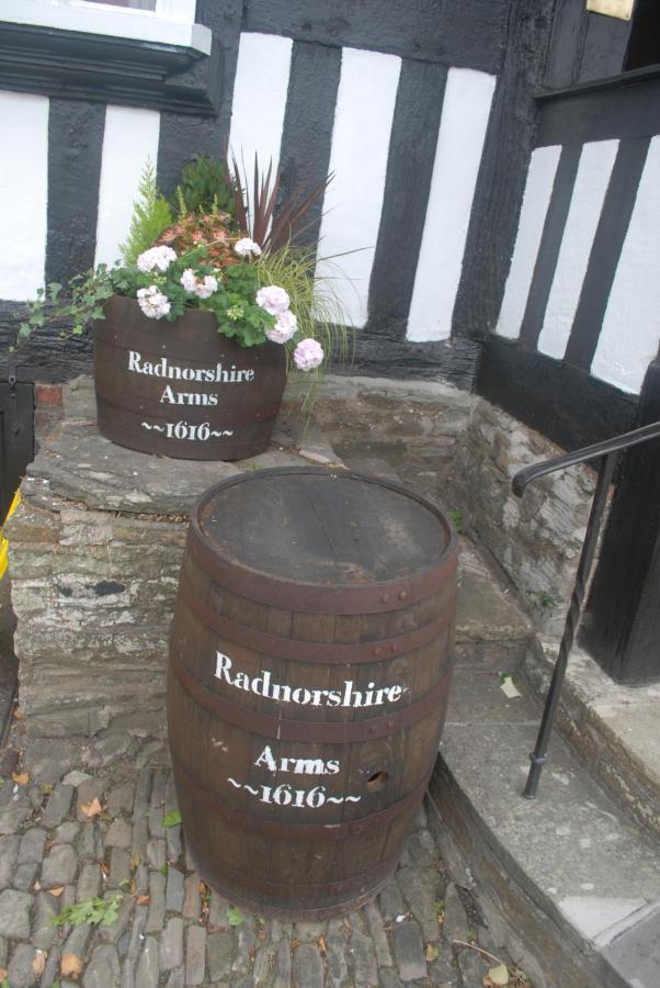 The Radnorshire Arms Hotel Presteigne Exteriér fotografie